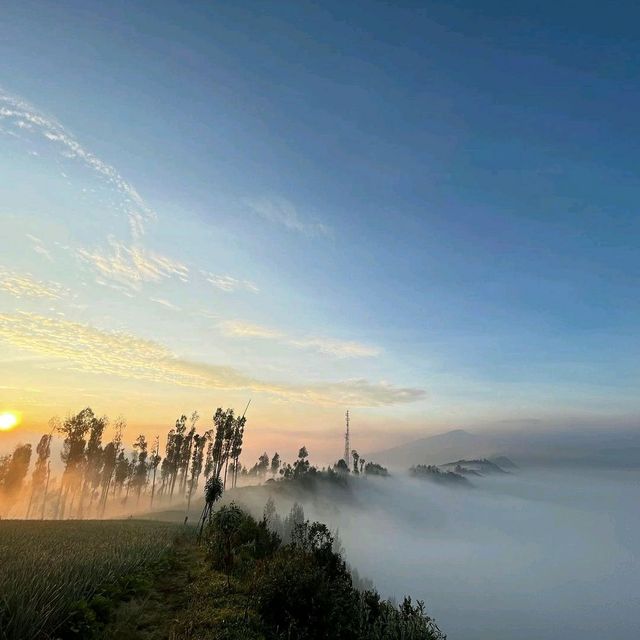 Bromo Tengger Semeru National Park