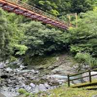 高知県 安居渓谷 宝来橋