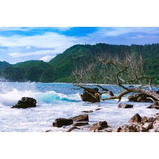 This place good for honeymoon, family time, or just being crazy with friends.
This place is located in Desa Kiluan Negeri, Kecamatan Kelumbayan, Kabupaten Tanggamus, Lampung, Indonesia.
It takes approximately 3 hours from Bandar Lampung and 6 hours from Bakauheni port. Main road access to this place full of upward and downward slope, you better have a good driver to bring you to this place. But dont worry, all that though start journey will be payable.

Whats in Kiluan Bay? traditional villages, Brackish water, dolphin (& sharks) hunters, rough & beautiful laguna and beach, art rocks, waterfall, roasted fish. Sound of the sea waves and peace.
3 or 4 days is a good time to spent in here.
You can rent a cottage or shared home in there. You maybe asked to pay for the guide, but trust me its needed. You maybe asked to used the motorcycle. Theres no other transportation except motorcycle, so just enjoy it.
#urbanexplorer 
#qingmingtravel 
#urbanexplorer#qingmingtravel