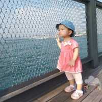 中西區海濱長廊 + 豐物道公園