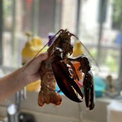 mfk. Restaurant User Photo