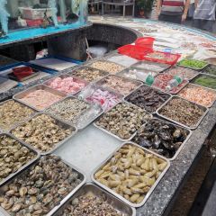 SHE JIAN SHANG DE HAI XIAN User Photo