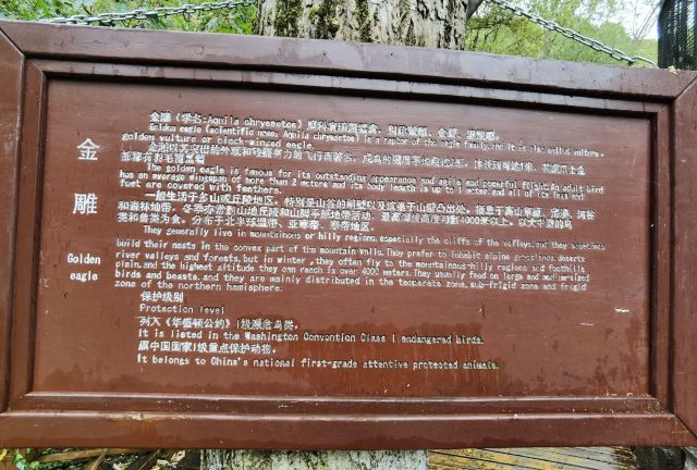 朱雀山森林公園