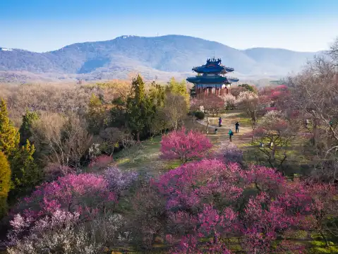 鄰近梅花山的酒店