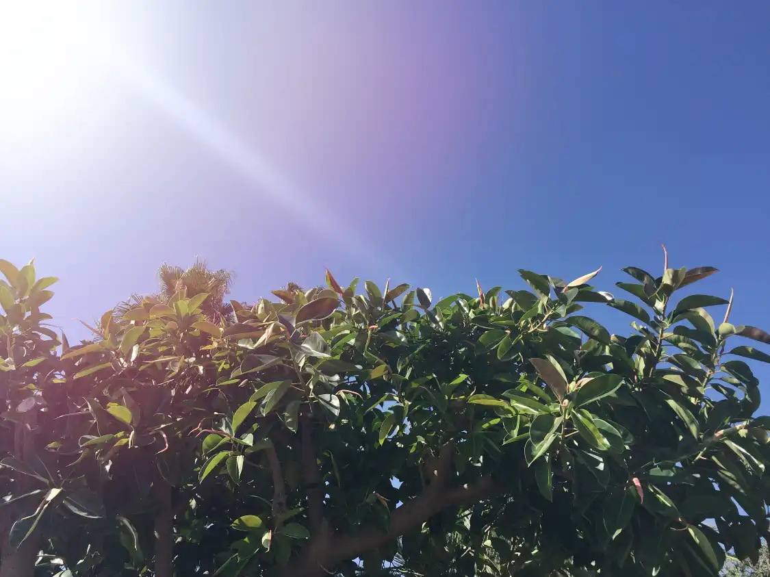 펑황산 공원 주변 호텔