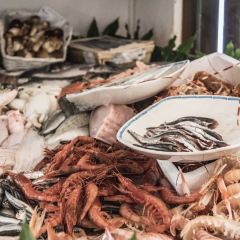 Trattoria del Pescatore User Photo