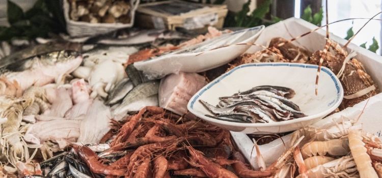 Trattoria del Pescatore