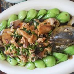 MANG QIAN MANG HOU MA MA CAI User Photo