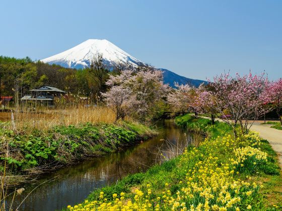 河口湖想像の森