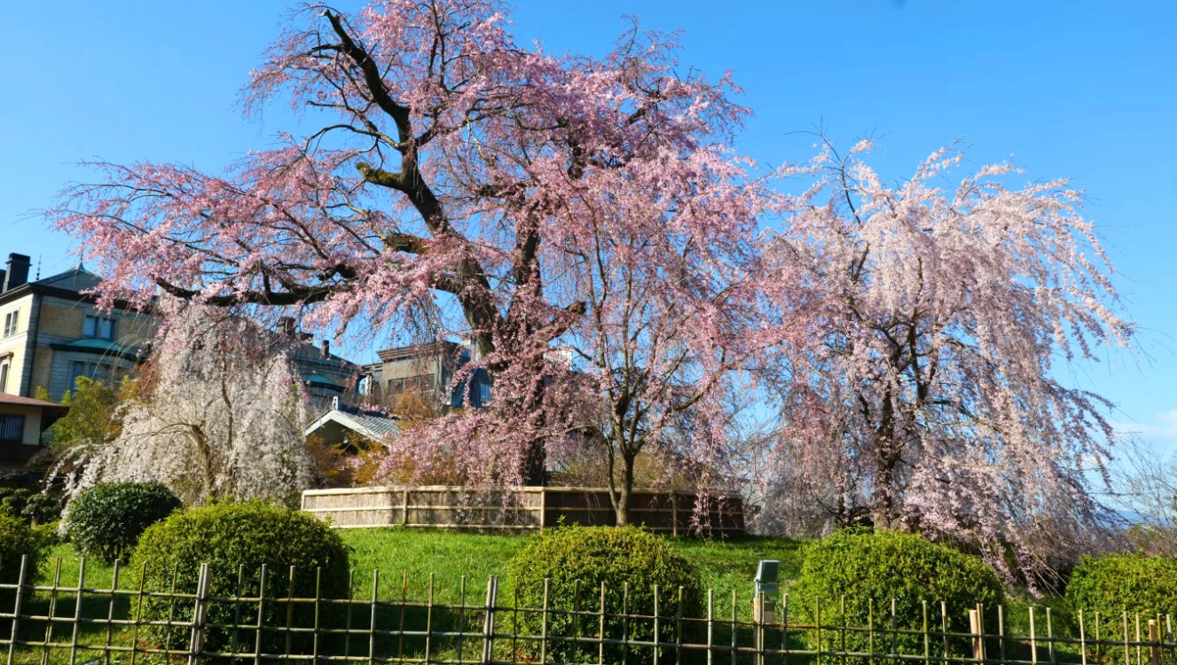圓山公園旅遊攻略指南 圓山公園評論 圓山公園附近推薦 Trip Com 圓山公園旅遊攻略指南 圓山公園評論 圓山公園附近推薦 Trip Com