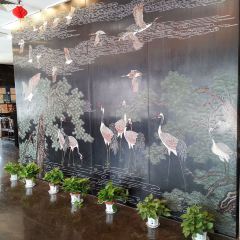 Song helou User Photo