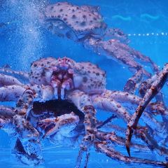 大龍發记·香港饭店(中庚漫游城店) User Photo