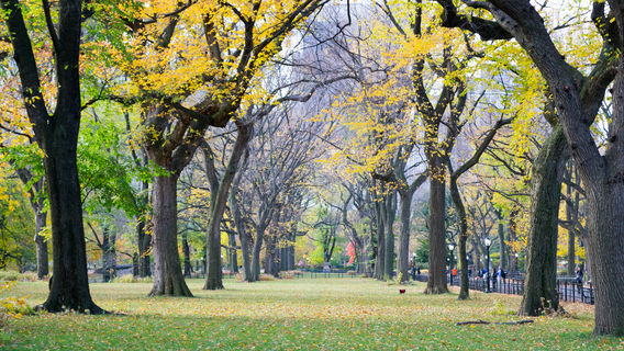 Dezhou