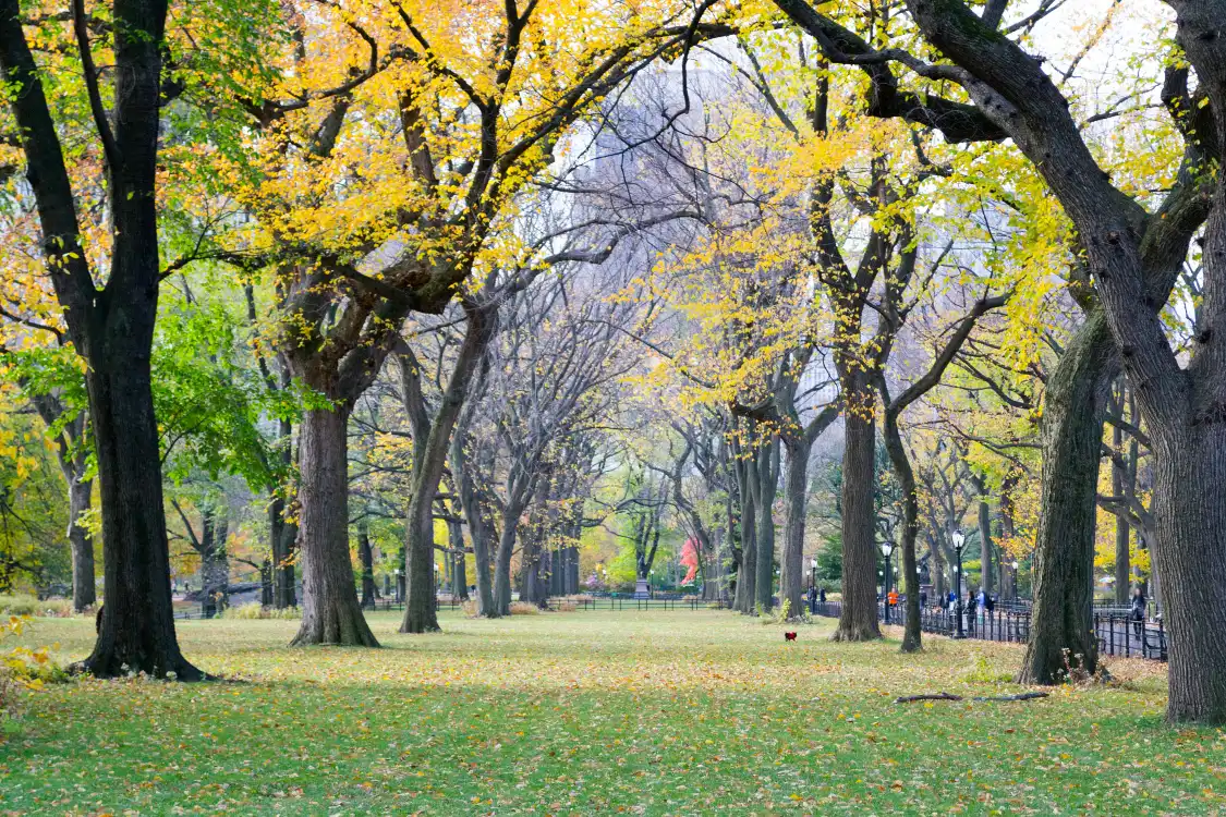 Hotels near Changhe Park