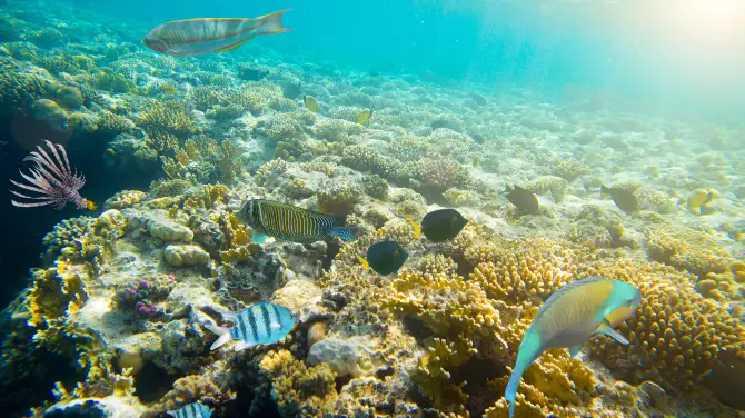 2_魚眼海洋公園