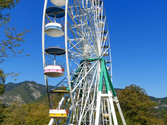 Niagara SkyWheel