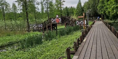 臨峯山郊野公園