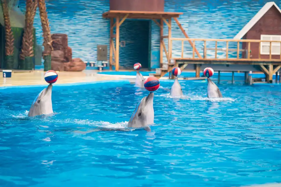 5_Tianjin Polar Ocean Resort