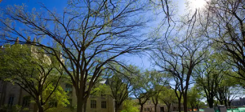 Hotels mit Flughafentransfer in Saskatchewan, Kanada