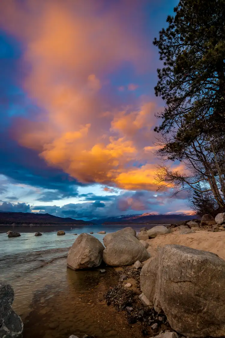 McCall