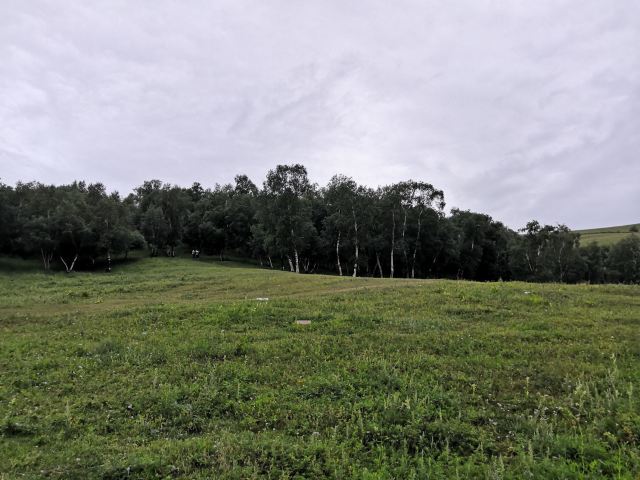 千松壩森林公園