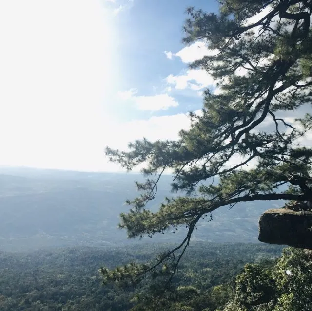 ห้ามพลาด! 5 แลนด์มาร์คจังหวัดเลย ไป เที่ยว "เลย" กันดีกว่า 🌿