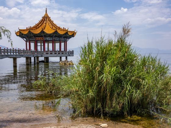 撫仙湖公園