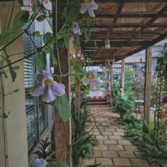 Rustic & Blue User Photo