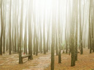 Hotels near Bukit Bintang