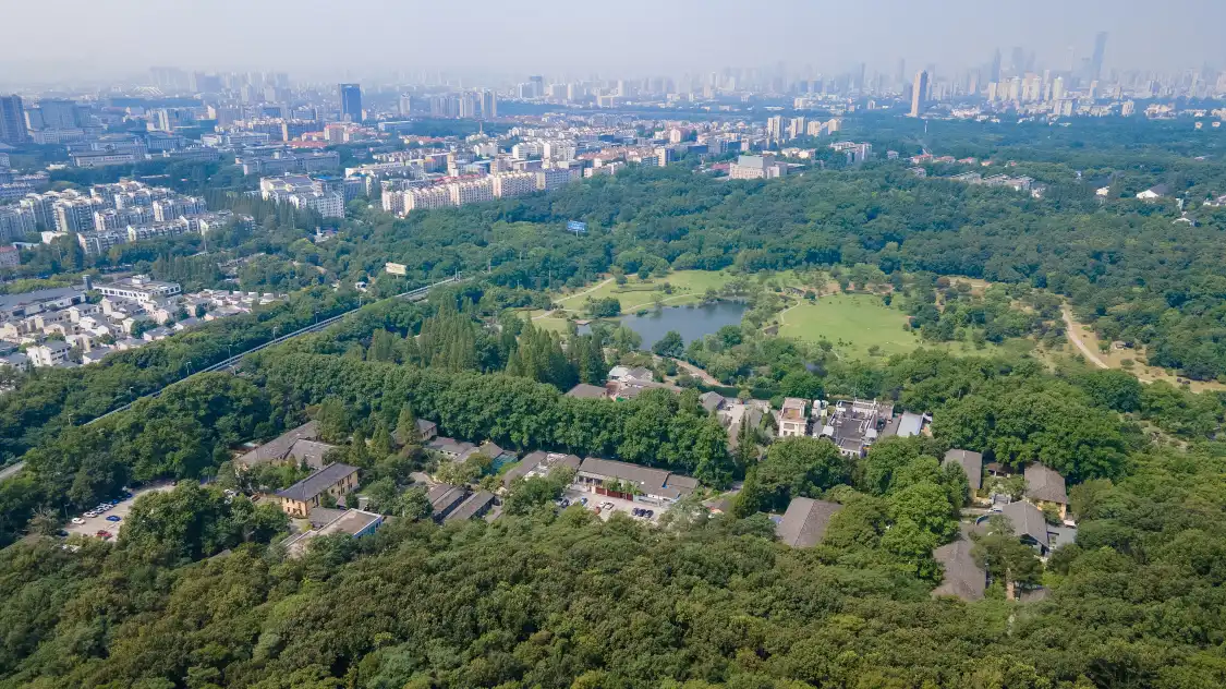 Hotels near T80 Technology Culture International Community