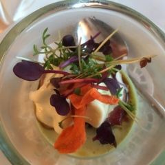 Villa Merton User Photo