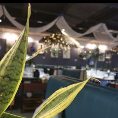 三个椰子原生态椰子鸡(文山方圆荟店) 여행 사진