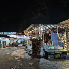 田心农庄·荔枝木烧鸡·农家河鲜 User Photo