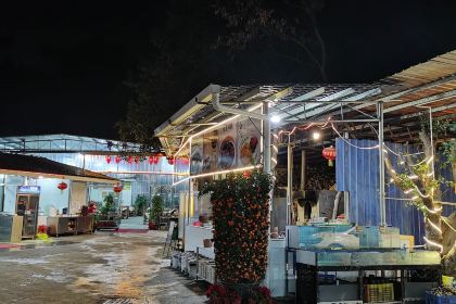 田心农庄·荔枝木烧鸡·农家河鲜