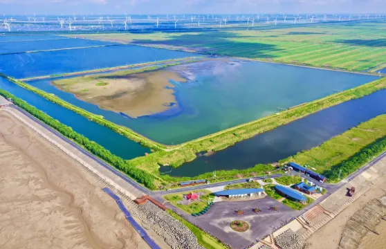 條子泥景區門票成人