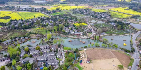 香草湖濕地公園