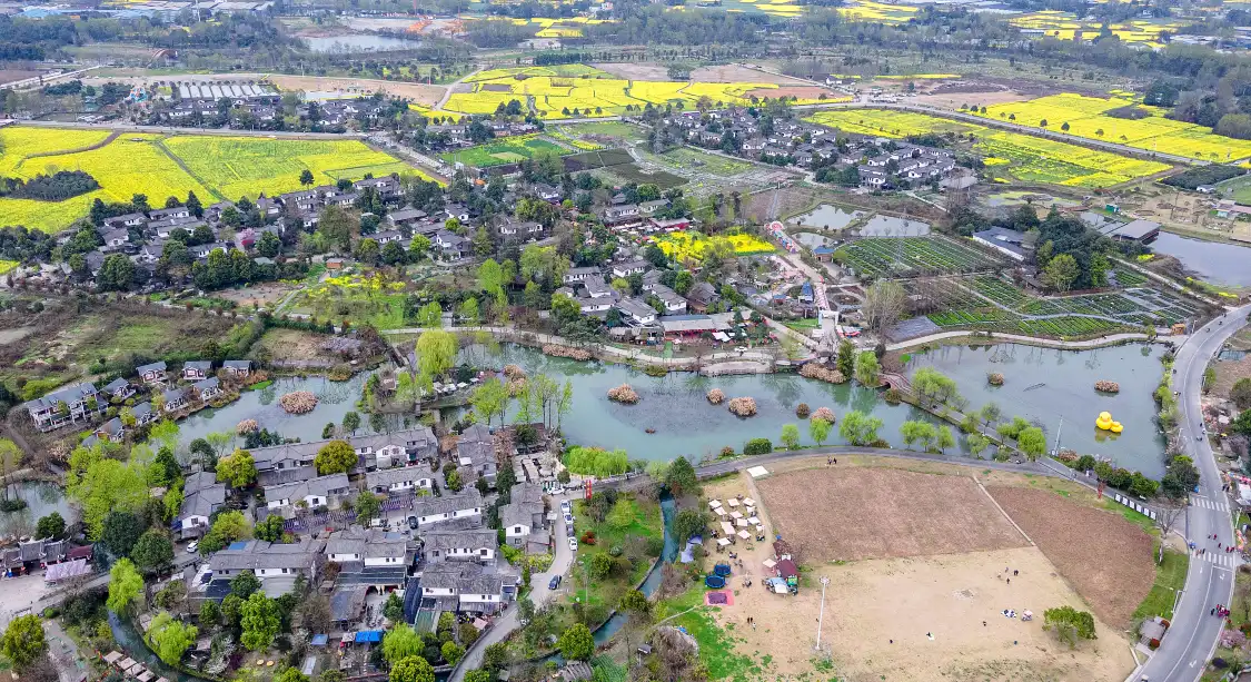 Hotels near Xiangcaohu Wetland Park
