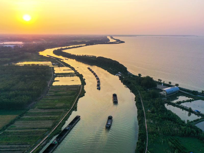 駱馬湖湿地