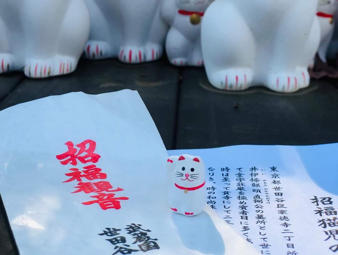Gotokuji Temple Attraction Reviews Gotokuji Temple Tickets Gotokuji Temple Discounts Gotokuji Temple Transportation Address Opening Hours Attractions Hotels And Food Near Gotokuji Temple Trip Com