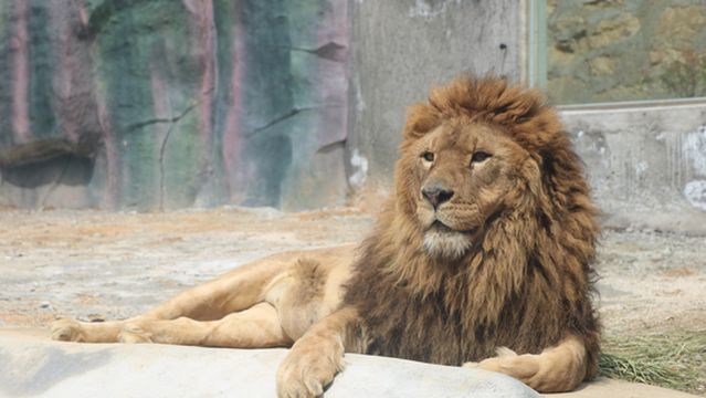 East Hubei Animal Kingdom