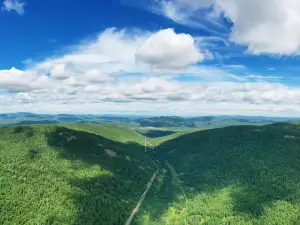 相思谷原始林風景區