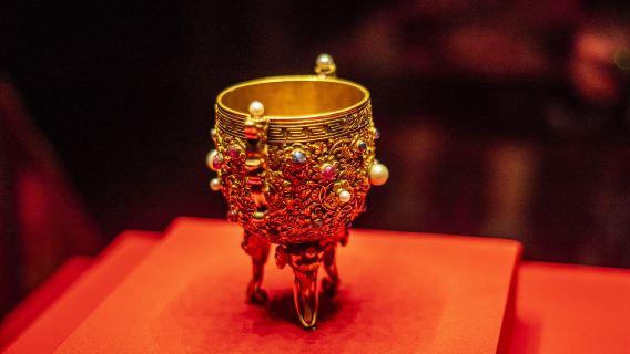 Museo del Palazzo Imperiale: tour approfondito di 3,5 ore con manuale di studio in omaggio + auricolari Bluetooth wireless