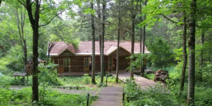 梅花山國家森林公園