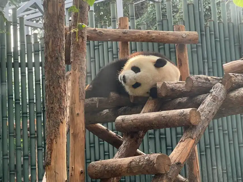 Hotels near Beijing Dongwuyuan- Children Zoo
