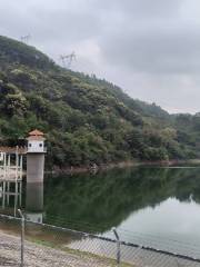 Maofengshan Forest Park Tongluowan Ecological Tourism Scenic Spot