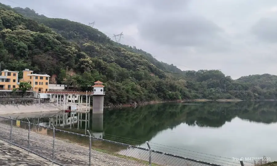 Maofengshan Forest Park Tongluowan Ecological Tourism Scenic Spot