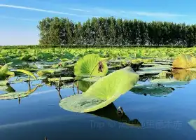 Little West Lake, Xinmin