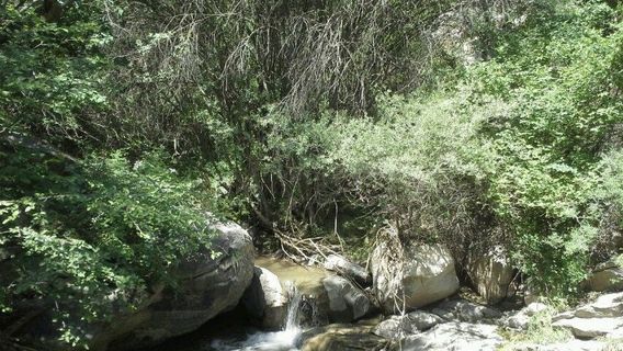 三郎洞原生態旅遊景點