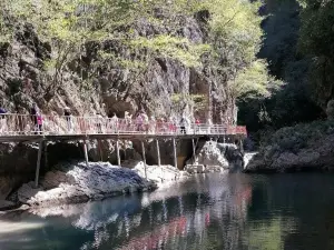 紅茶溝森林公園