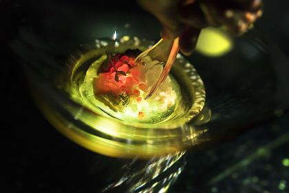 TREE by NAKED yoyogi park